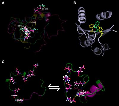 Editorial: From the hydrophobic core to the globular-disorder interface: New challenges and insights into protein design